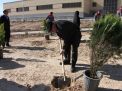 گزارش تصویری مراسم روز درخت کاری و تقدیر از نیروهای باغبانی دانشگاه